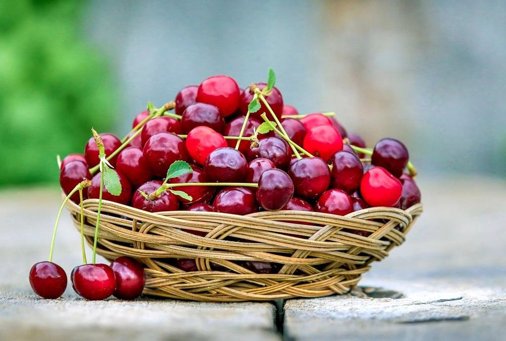Woven basket heaped with fresh red cherries on weathered stone