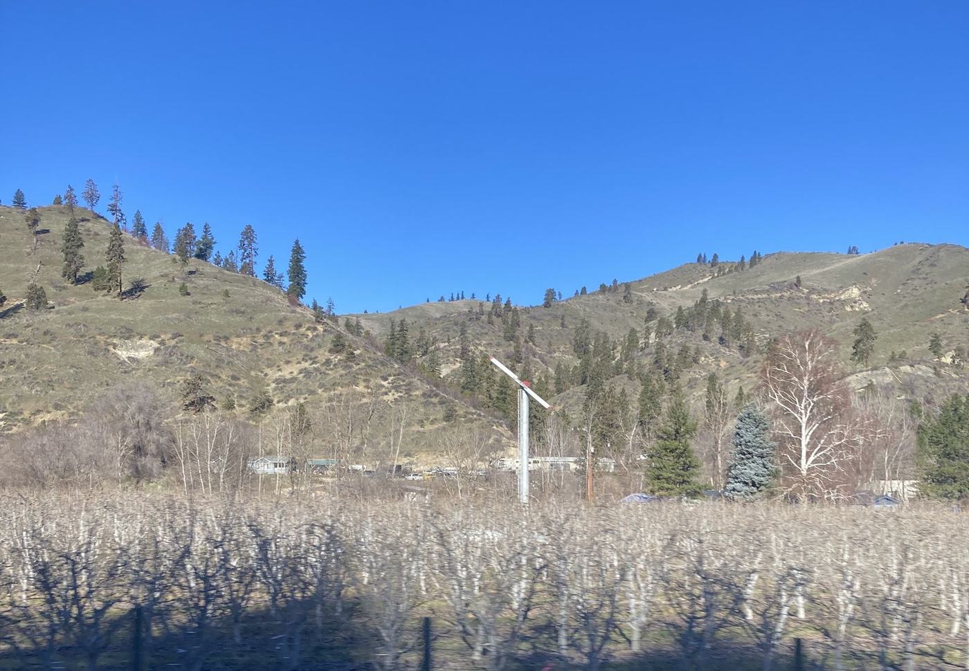 Dormant orchard rows below dry hills, a tall frost fan standing over the bare trees